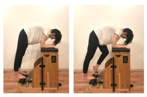 セラタスフットワークの解説写真