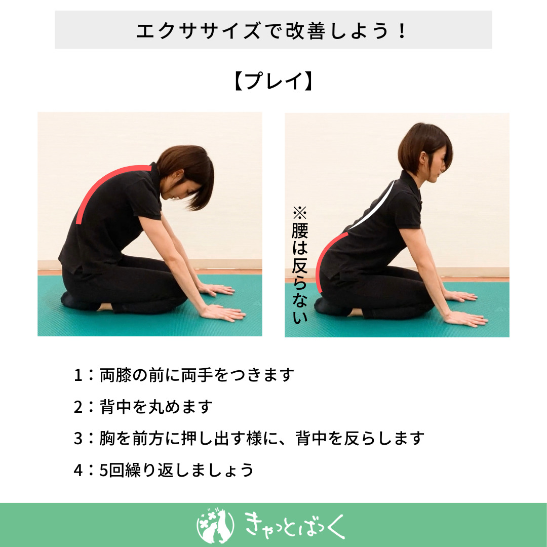 バストアアップに効果的なエクササイズ