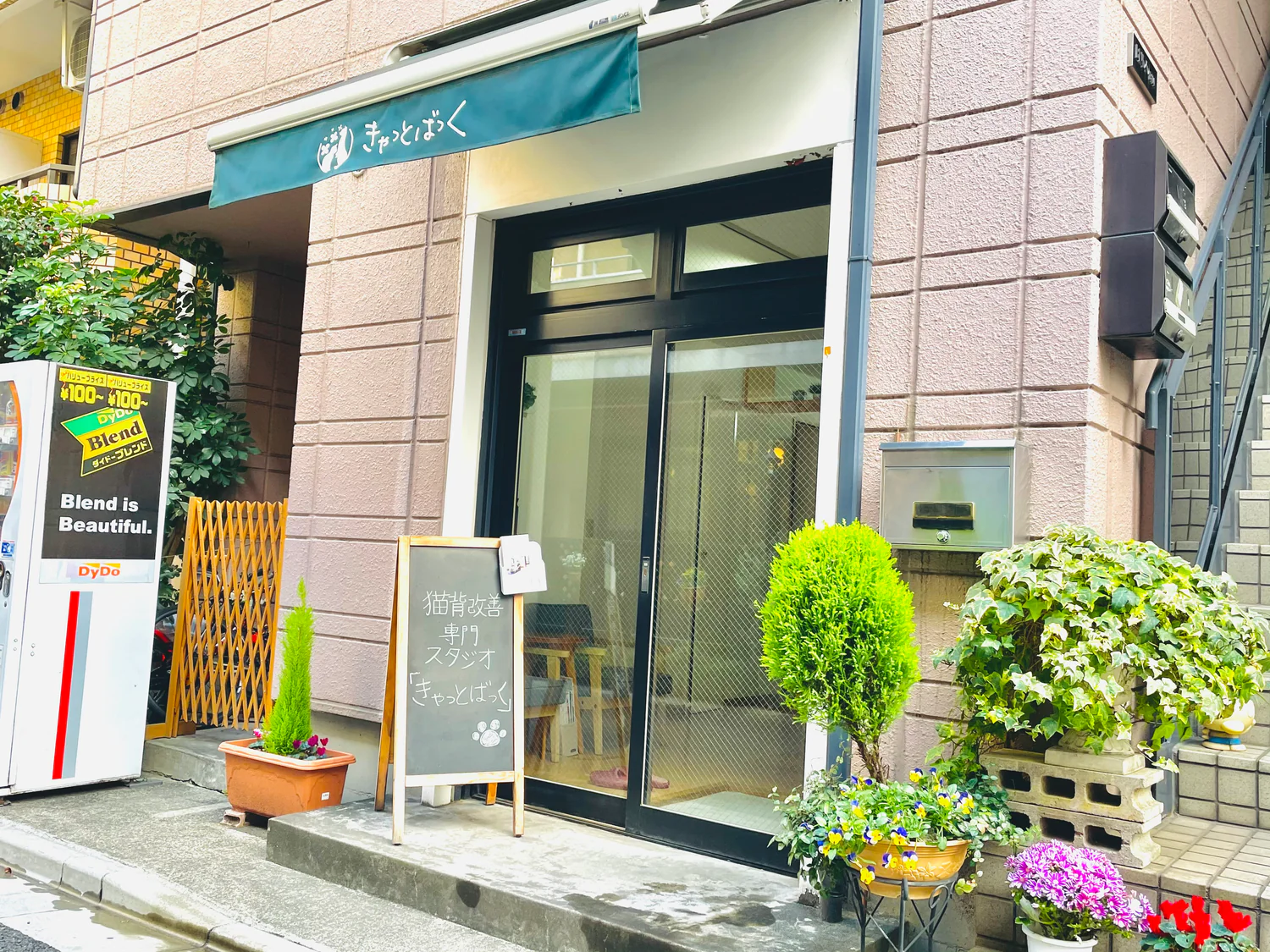 猫背改善専門スタジオ「きゃっとばっく」の外観
